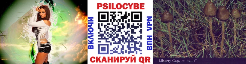 Галлюциногенные грибы MAGIC MUSHROOMS  закладки  Ярцево 
